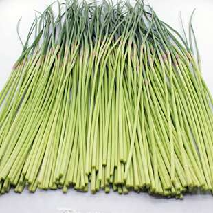 河南蒜苔5斤包邮蒜苗嫩蒜毫蒜薹新鲜蔬菜农家自产种直销绿色食品