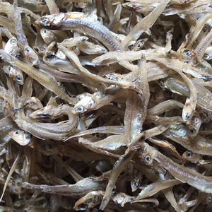 小银鱼干货公鱼仔新品阳江特产淡口无骨熟晒野生宝宝辅食250g包邮