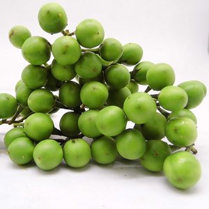  span class=h>新鲜 /span>小苦果 小幼茄 苦茄 苦凉 span class=h>