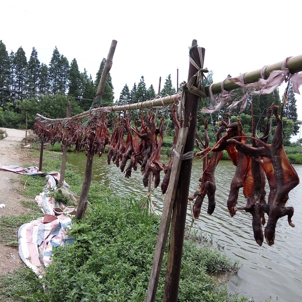 湖南山里特产腌制肉干包邮 野味肉干 黄鼬肉干正品风干肉公整只