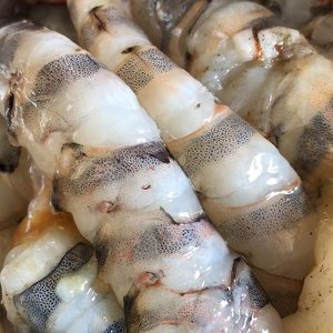 虾鳝一窝端图片