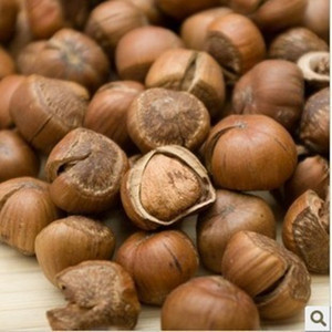 【东北特产野榛子图片】东北特产野榛子图片大全_好便宜网