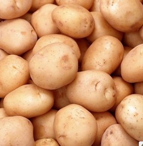  span class=h>新鲜 /span>蔬菜农家自种土豆 span class=h>马铃薯 