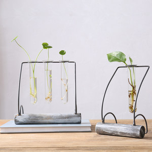 【绿植玻璃器皿水培创意价格】最新绿植玻璃器