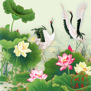 荷花仙鹤图图片