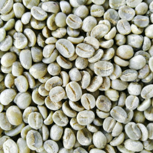 小粒咖啡生豆图片