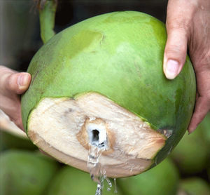 海南新鲜水果带皮椰皇 椰青 小 span class=h>椰子 /span> 6个装 2.