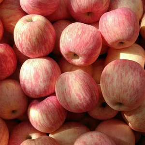 正宗陕西西安红富士 span class=h>苹果 /span>水果新鲜无蜡孕妇小孩