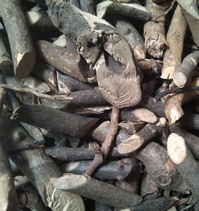 中药材小搜 span class=h>山虎 /span> 搜 span class=h>山虎 /span>