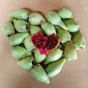 野生仙人掌果海南新鲜水果新鲜采摘仙桃2斤