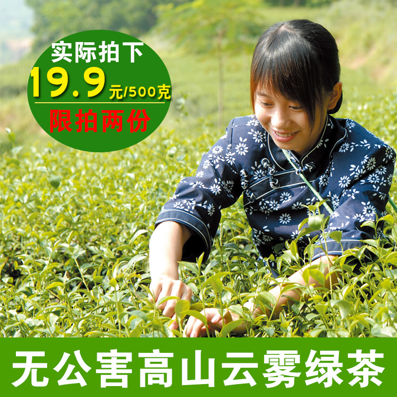 2019新茶日照绿茶春茶明前无农害山东炒青高山茶叶散装口粮茶500g