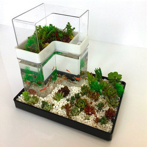 创意桌面鱼缸小型免换水 迷你生态鱼缸造景热