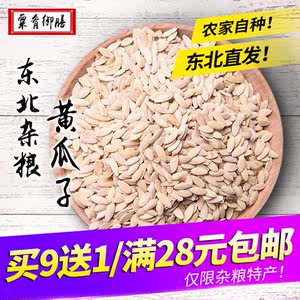 黄瓜籽粉熟东北老旱黄瓜子纯原粉免邮黄瓜仔黄