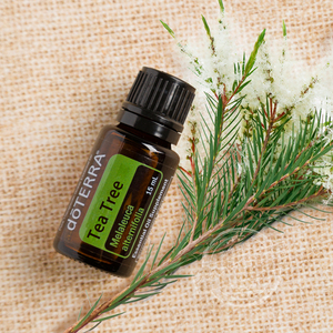 多特瑞 span class=h>茶树 /span>单方精油 控油杀菌消毒 美国官网