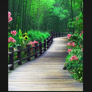 class=h>立体 /span>花鸟 span class=h>竹林 /span>山水 span class=