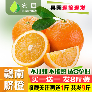 农园 买1送1发8斤赣南脐橙橙子孕妇新鲜水果现摘现发柑橘手剥甜橙
