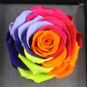 永生花进口玫瑰花礼盒红蓝玫瑰12星座花速递全国七夕情人节礼物