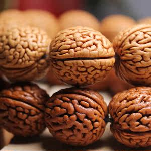 上新精品文玩正圆野生小脑纹矮桩桃核 span class=h>手串 /span>狮子 