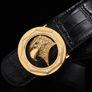 史蒂芬皮带鹰头图片