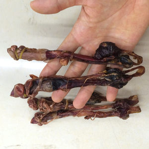 class=h>驴鞭 /span>牛鞭蛤蚧