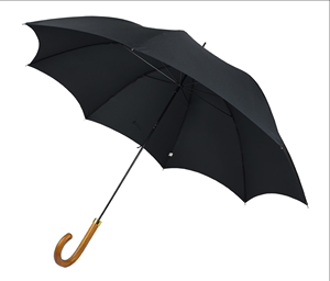日本代购fox umbrellas英国伦敦手工长柄雨伞小