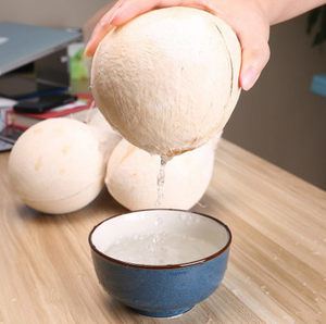 海南老椰子包邮图片