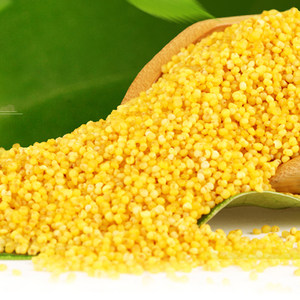 小米月子米宝宝米产妇米专场