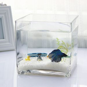 【正方形水培玻璃方缸鱼缸图片】正方形水培玻