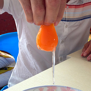 【新鲜海鸭蛋价格】最新新鲜海鸭蛋价格\/批发