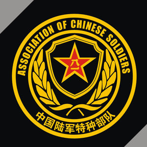 汽车反光贴纸装饰拉花 车身机盖 军标14078我是特种