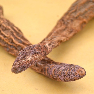 酒泉瓜州锁阳野生金锁阳非内蒙古阿拉善野生肉苁蓉250g包邮 ￥49.