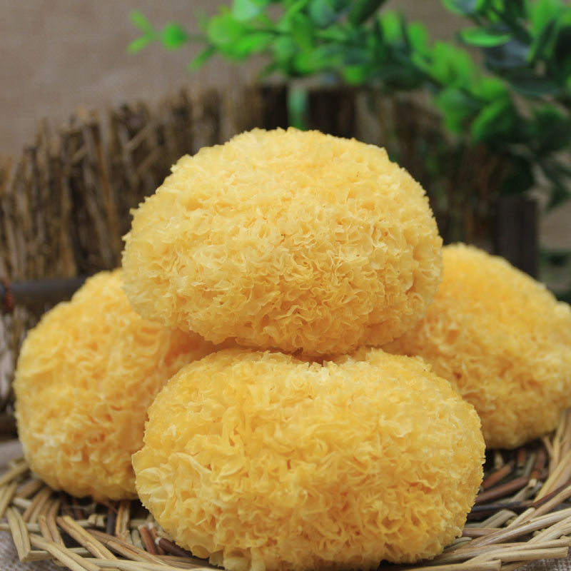 古田丑耳 密花银耳 易糯多胶 原色白木耳 无硫添加 250g*2 包邮