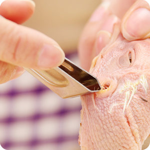 拔毛器鸡猪图片