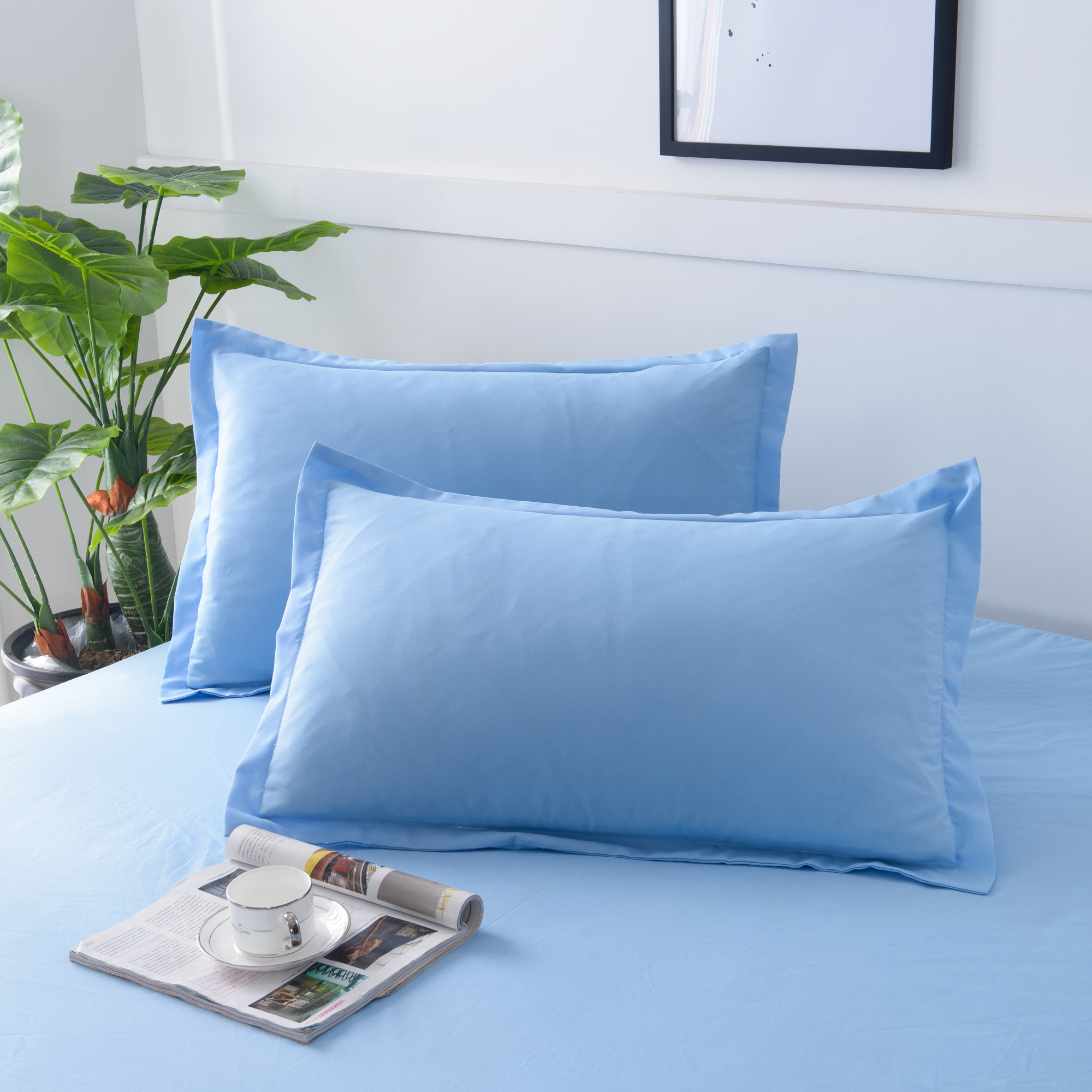 枕套一对 单人48cm*74cm信封枕套 春夏