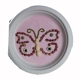 蝴蝶纷飞  五谷杂粮黏贴画 种子画 手工艺品 手工作品