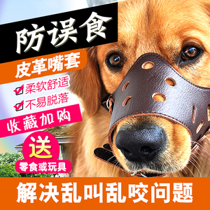 狗狗防咬人嘴套泰迪图片