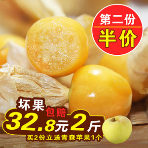 娘果灯笼果菇娘果新鲜东北特产水果黄姑娘果菇