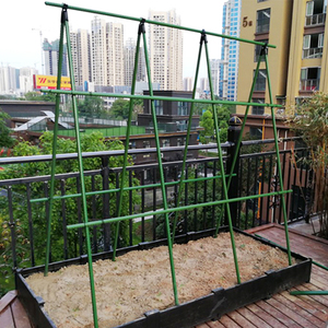 攀藤架阳台图片