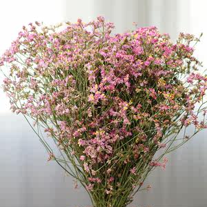 2018水晶草干花花束家居摆设小清新云南鲜花批直发论斤卖大束精美