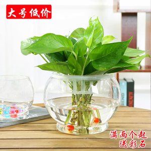 碗莲花盆 圆形玻璃花瓶 金鱼缸花盆睡莲花盆 水