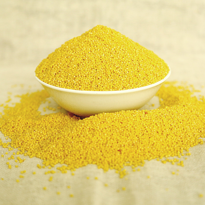 陕北府谷农家大黄米16年新米现糜子黄小米(非小米)2斤包邮