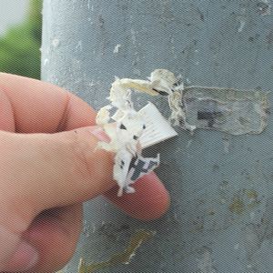 【除胶剂家用瓷砖价格】最新除胶剂家用瓷砖价