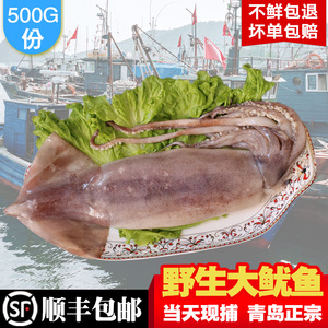 大 span class=h>魷魚 /span>整隻 span class=h>魷魚 /span>鮮活燒烤