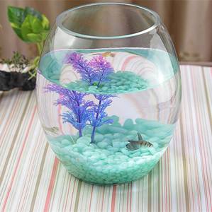 【正方形水培玻璃方缸鱼缸图片】正方形水培玻