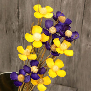 蝴蝶兰花手工天然干花文艺永生家居装饰摆饰艺术插花花束拍照道具