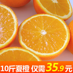 【橙子5斤价格】最新橙子5斤价格\/批发报价