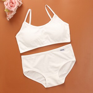 class=h>内衣 /span>少女内裤套装