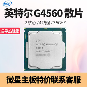 【奔腾g4560处理器】_奔腾g4560处理器品牌