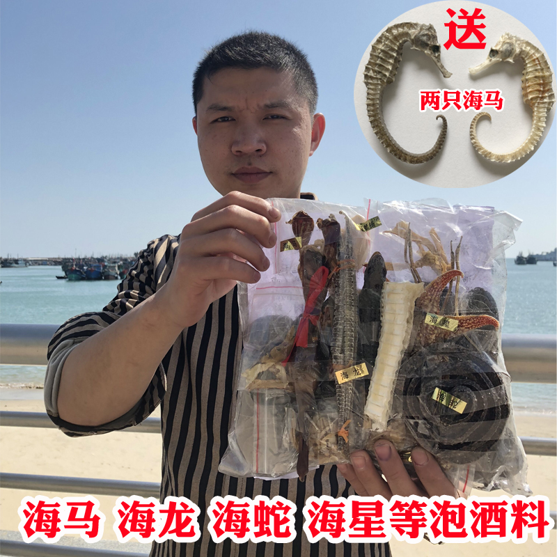 海馬海龍海麻雀海燕海蛇海星乾貨中藥材泡酒料滋補男保健持久養生