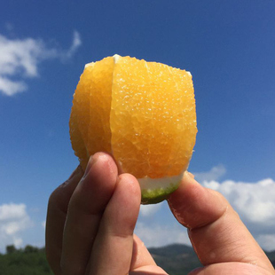 当天发20斤黄肉菠萝蜜新鲜水果非红肉三亚菠萝蜜树菠萝波罗蜜40 ￥85.